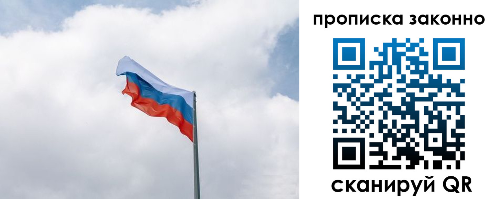 прописка поиск в Ленинградской области